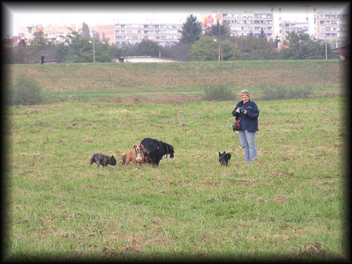 Druženje - foto