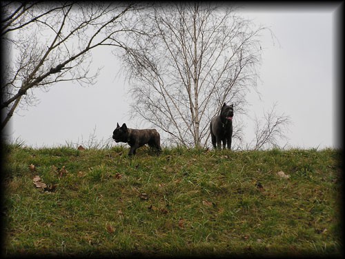 Druženje - foto