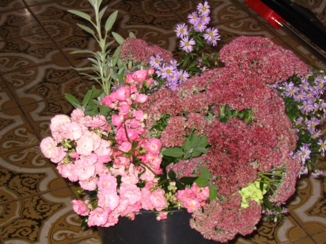 Cvetje - foto povečava