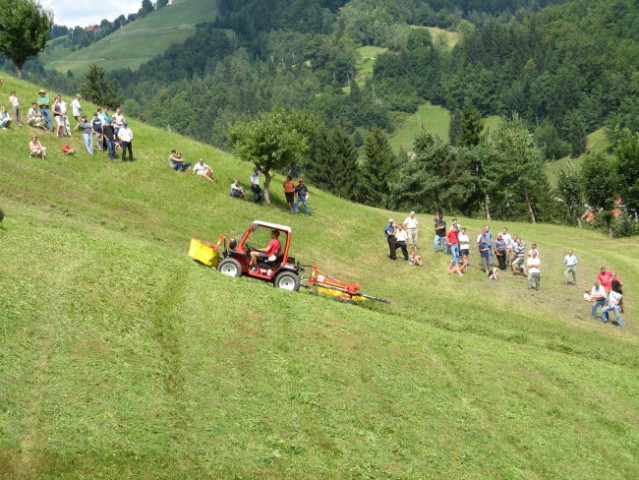 Demonstracija reform 2 - foto