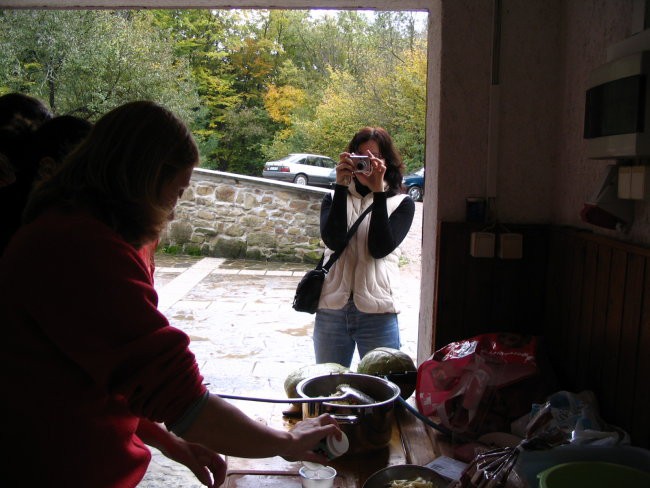 Piknik 2: Ilirska Bistrica - foto povečava