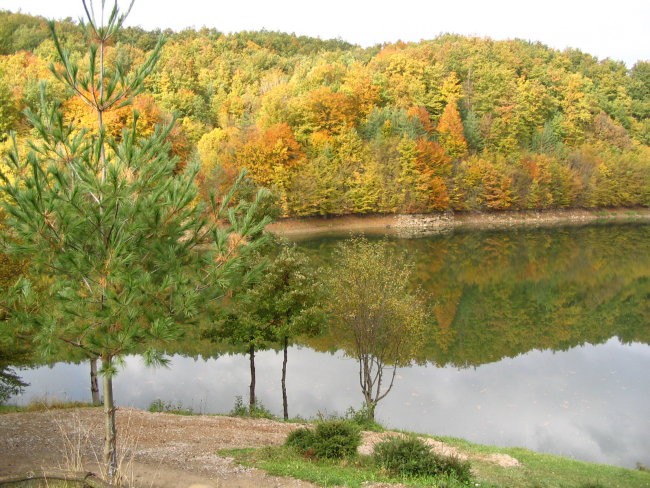 Piknik 2: Ilirska Bistrica - foto povečava