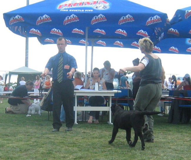 CAC Velika Gorica 01.06.2008. - foto povečava