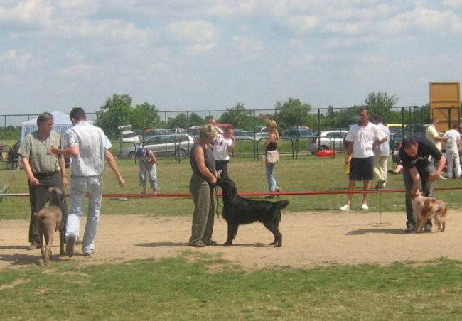 CAC Velika Gorica 01.06.2008. - foto povečava