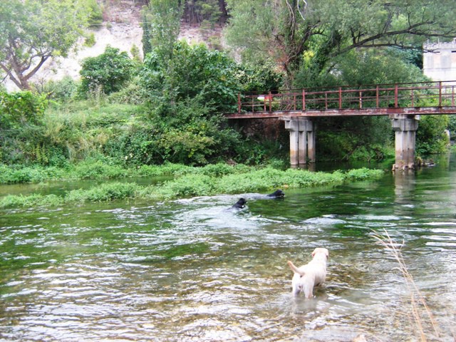 Split 24-27.07.2008. - foto povečava