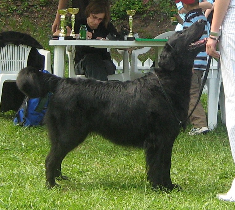 Kiara