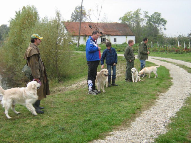 Utakmica retrievera Molve 07.10.07. - foto povečava