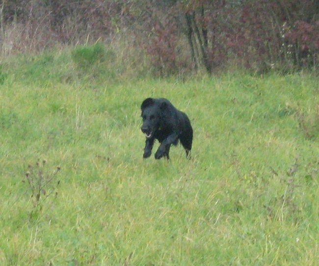 Listopad 2007 - foto povečava