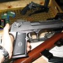 Desert eagle 