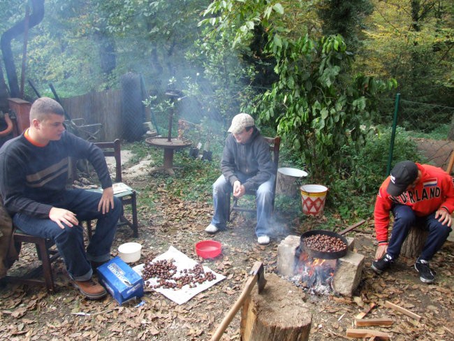 BUll piknik Mb 13.10.2007 - foto povečava