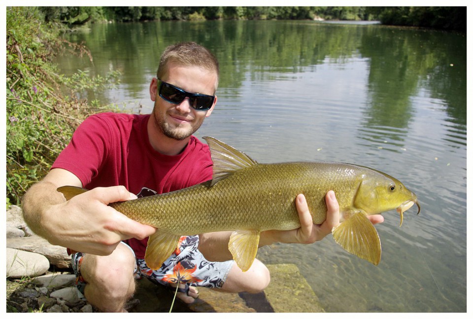 Bela riba - 5&6.8.2009 - foto povečava