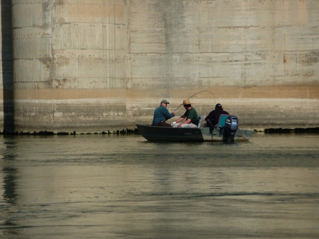 Ebro 2009 - foto