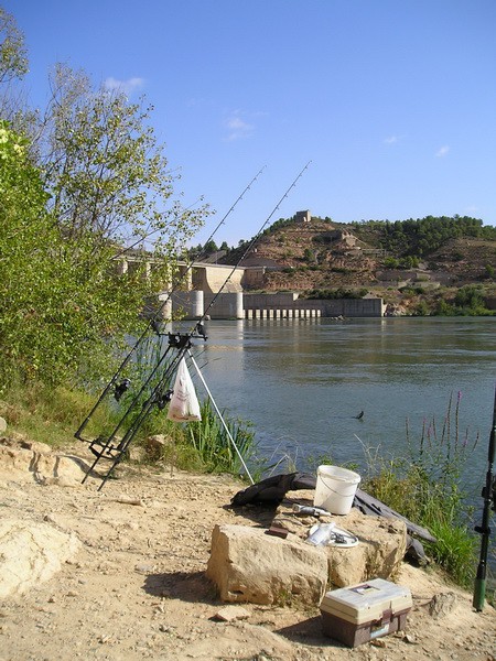 Ebro 2009 - foto