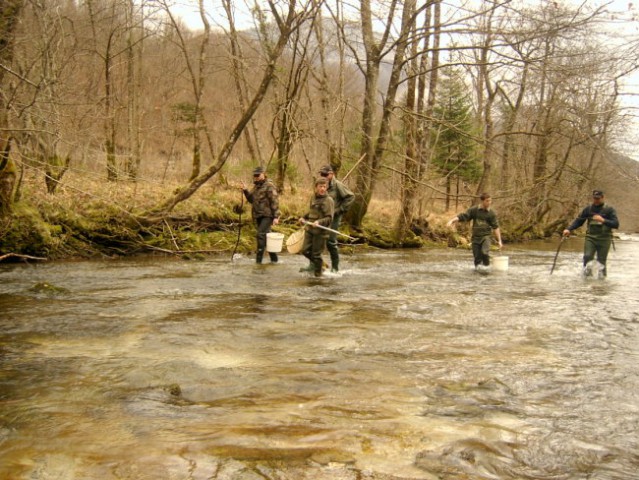 Kuželjska Belica [izlov] ~ 03.03.2007 - foto