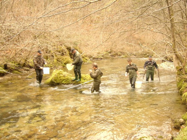 Kuželjska Belica [izlov] ~ 03.03.2007 - foto