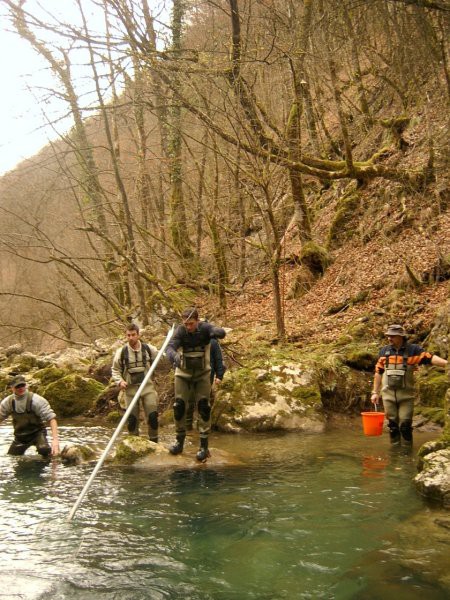 Kuželjska Belica [izlov] ~ 03.03.2007 - foto