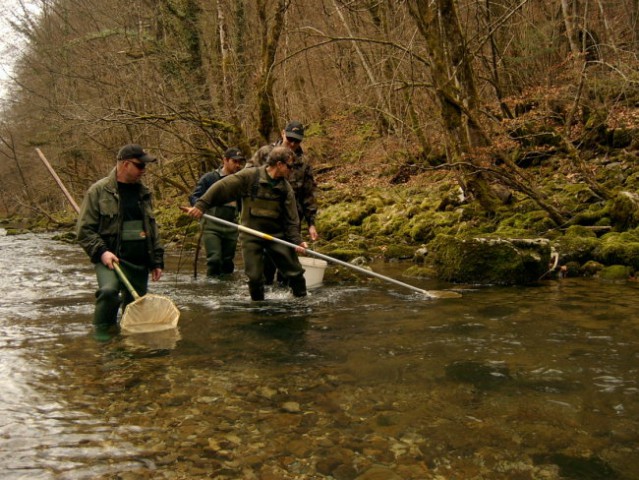 Kuželjska Belica [izlov] ~ 03.03.2007 - foto