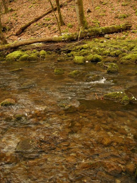 Kuželjska Belica [izlov] ~ 03.03.2007 - foto