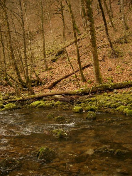 Kuželjska Belica [izlov] ~ 03.03.2007 - foto povečava