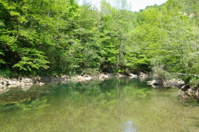 18. kajak, kanu, rafting - mednarodni tekmova - foto