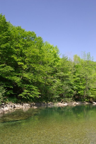 18. kajak, kanu, rafting - mednarodni tekmova - foto povečava