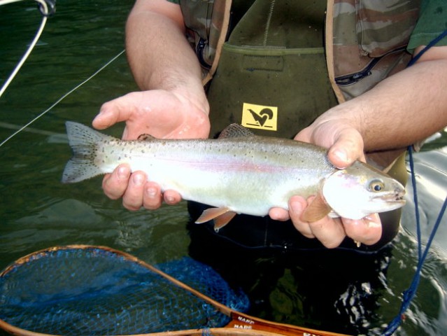 Kupa fishing 2007 - foto