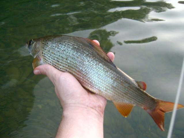 Kupa fishing 2007 - foto