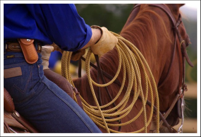 Western, Kočevska Reka, 2007 - foto povečava