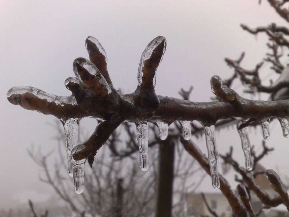 Zima - foto povečava