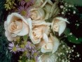 Rože in narava - foto povečava