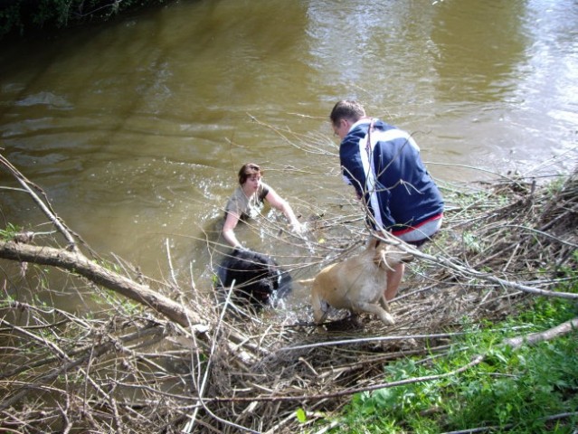 Dravinja, april 2008