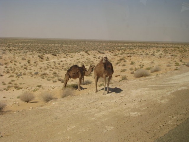 Na poti v Saharo