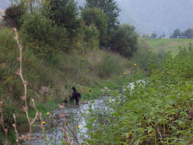 Pobeg v bližnji potok, Biba in Bruno....nagrada zato, da prideta ven...piškotek!!!