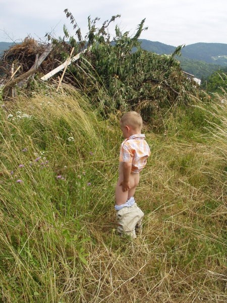 Slike - foto povečava