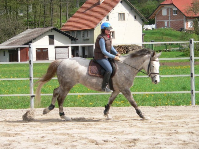 Horsolini - foto povečava