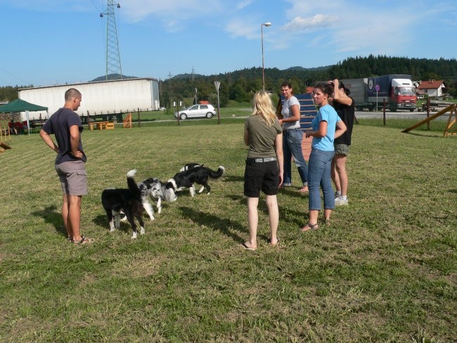 Borderzbor - foto povečava