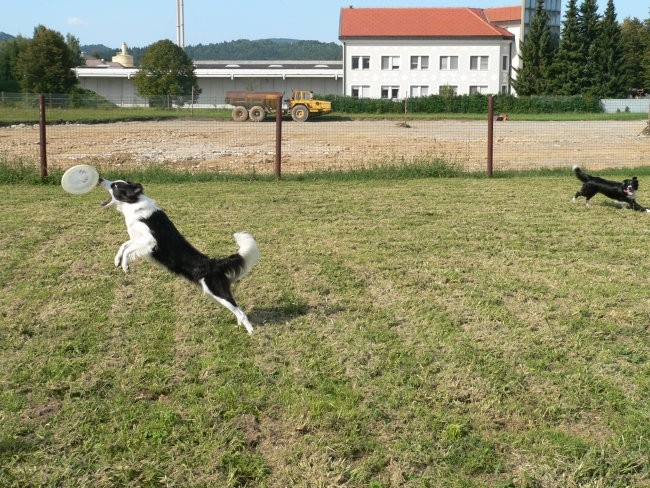 Borderzbor - foto povečava