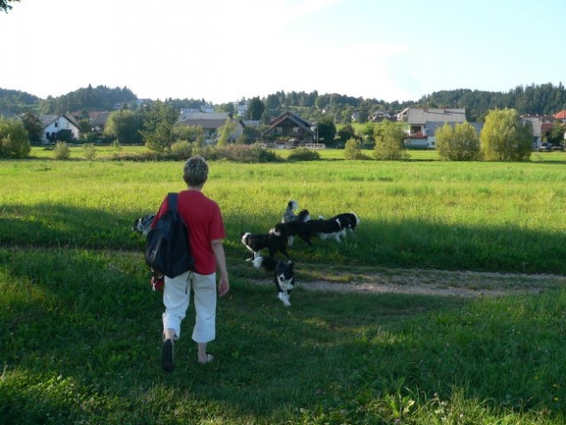 Borderzbor - foto