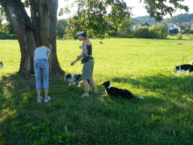 Borderzbor - foto