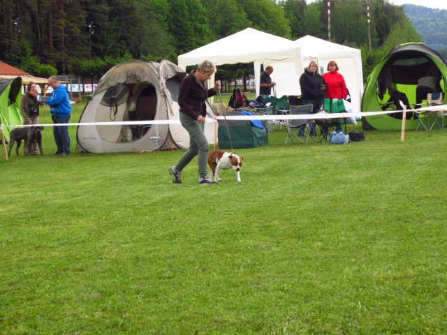 CAC Koroška - foto