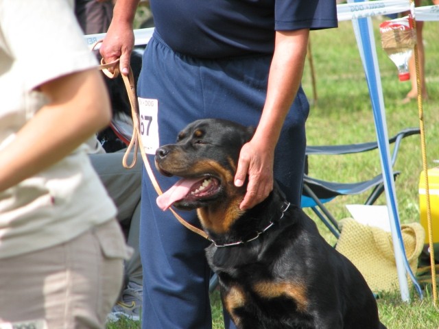 CAC Trbovlje, 27.8.2006 - foto