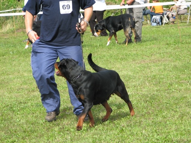 CAC Trbovlje, 27.8.2006 - foto povečava