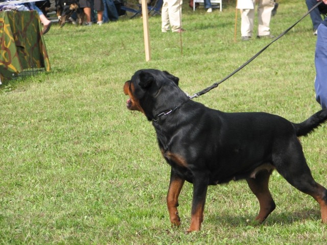 CAC Trbovlje, 27.8.2006 - foto povečava