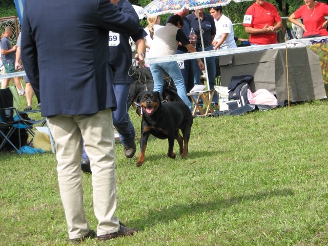 CAC Trbovlje, 27.8.2006 - foto povečava