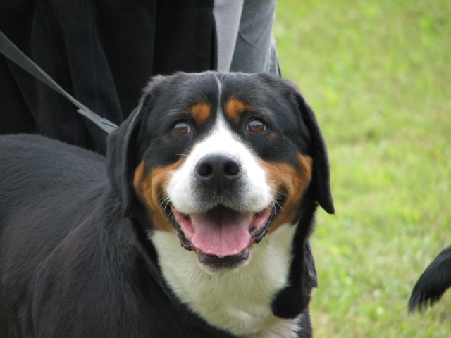 CAC Trbovlje, 27.8.2006 - foto