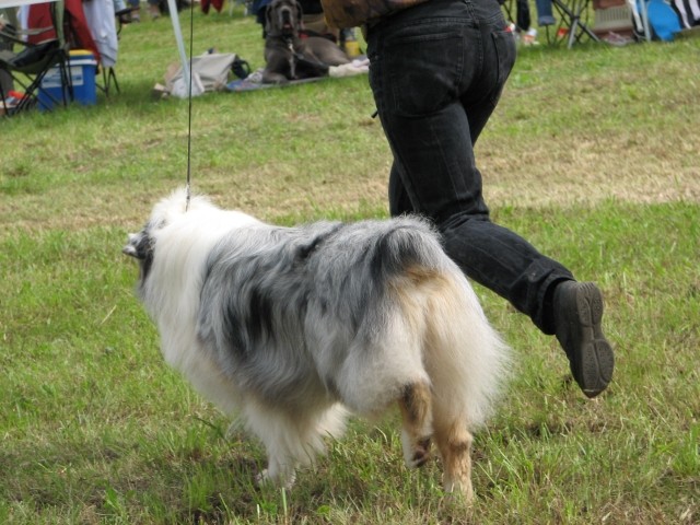 CAC Trbovlje, 27.8.2006 - foto povečava