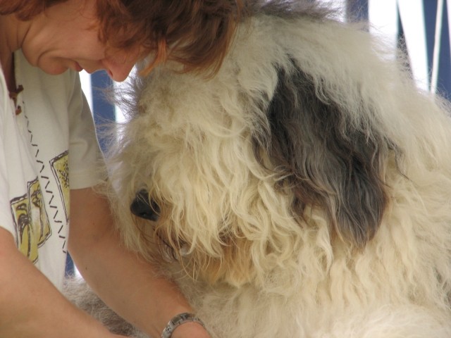 CAC Trbovlje, 27.8.2006 - foto povečava