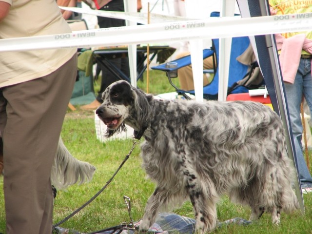 CAC Trbovlje, 27.8.2006 - foto povečava