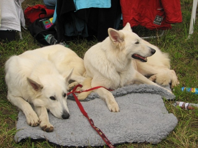 CAC Trbovlje, 27.8.2006 - foto povečava