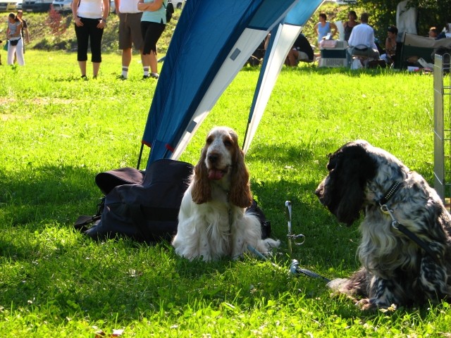 CAC Trbovlje, 26.8.2007 - foto povečava